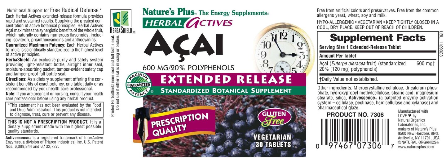 Herbal Actives Acai 600 mg/20% Polyphenols Extended Release