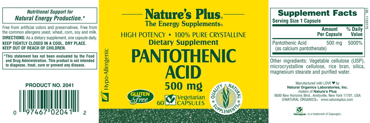 Pantothenic Acid 500 mg