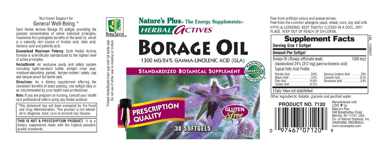 Borage Oil 1300 MG/24% Gamma-Linolenic Acid (GLA