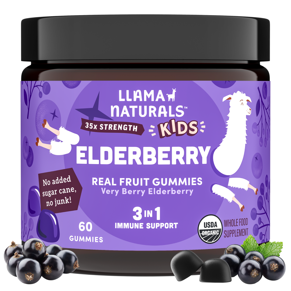 Kids Elderberry Real Fruit Gummies