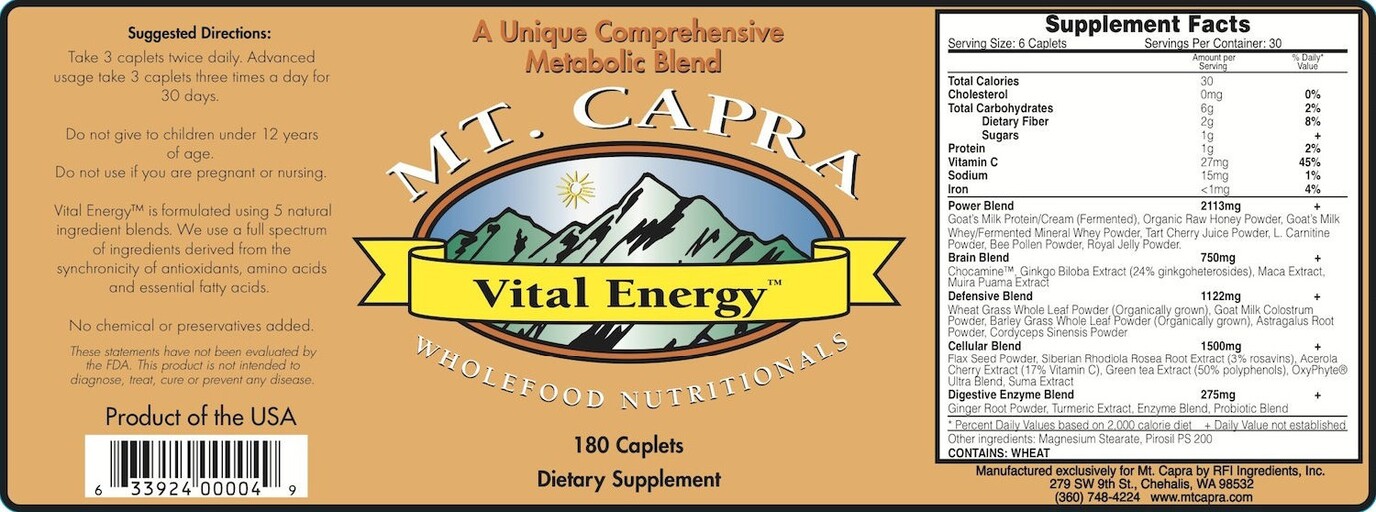 Vital Energy