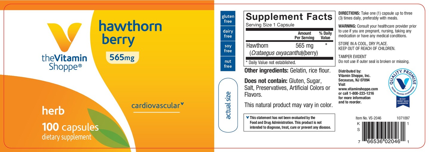 Hawthorn Berry 565 mg