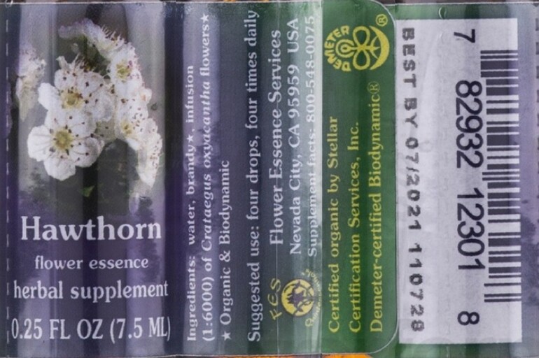 Hawthorn Flower Essence