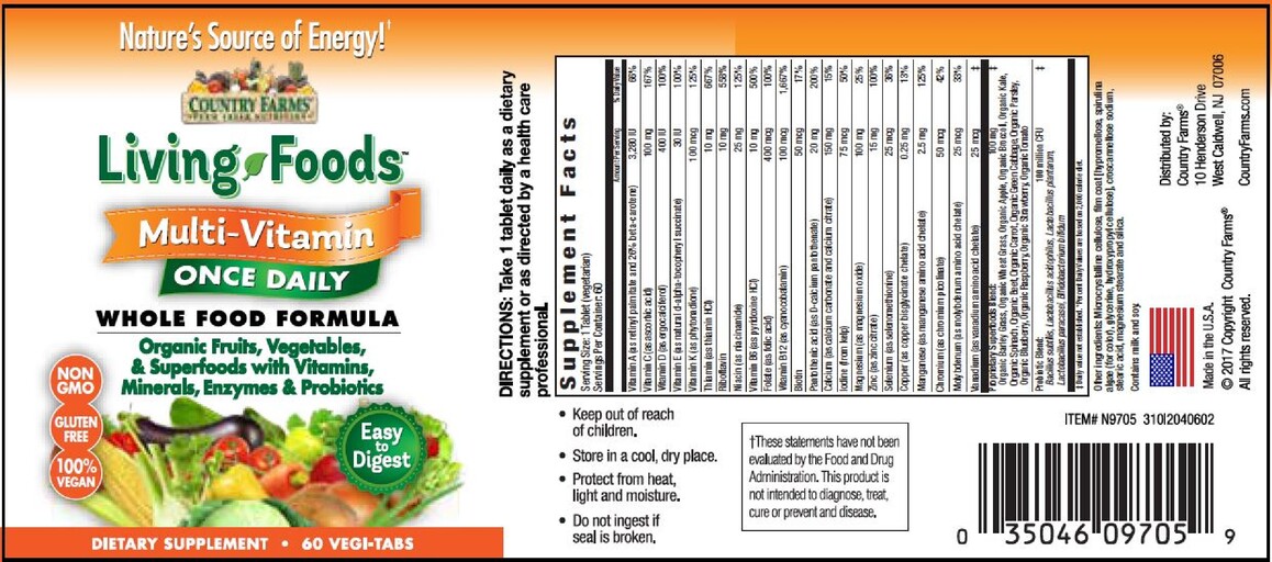 Living Foods Multi-Vitamin