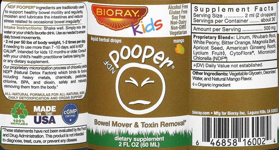 NDF Pooper Mango