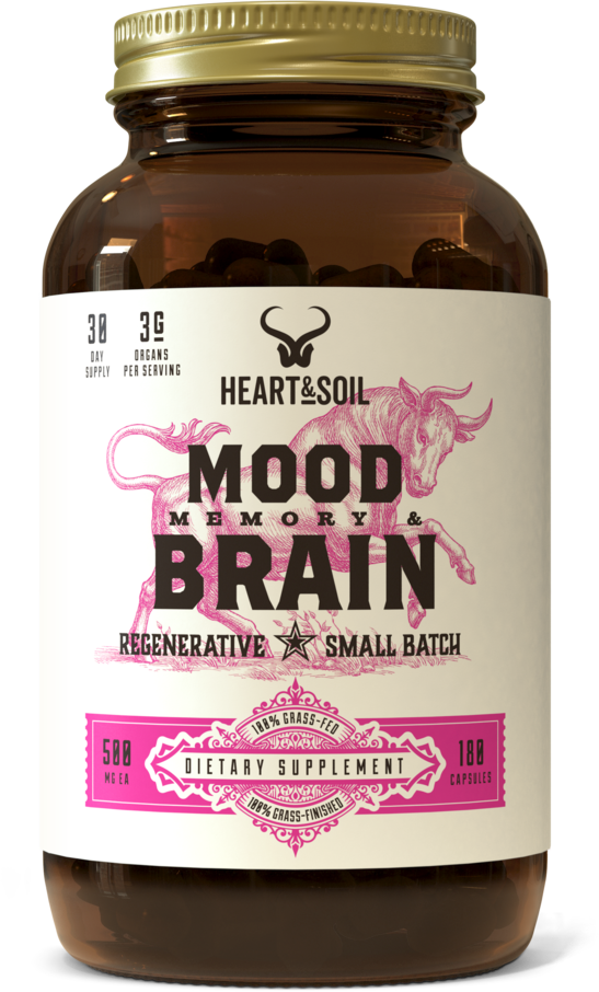 Mood Memory & Brain