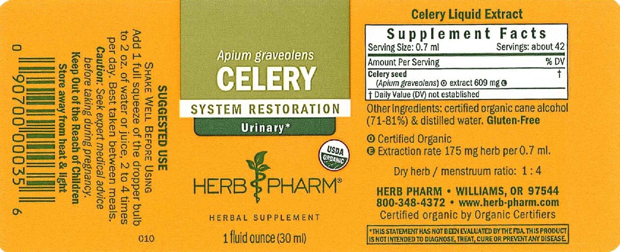 Celery