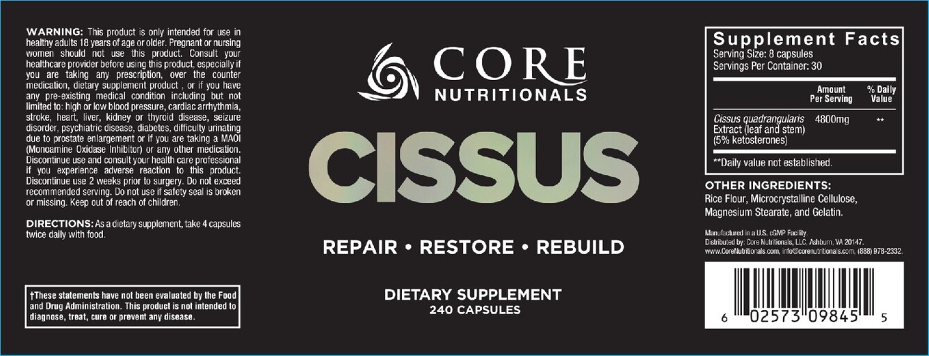 Cissus
