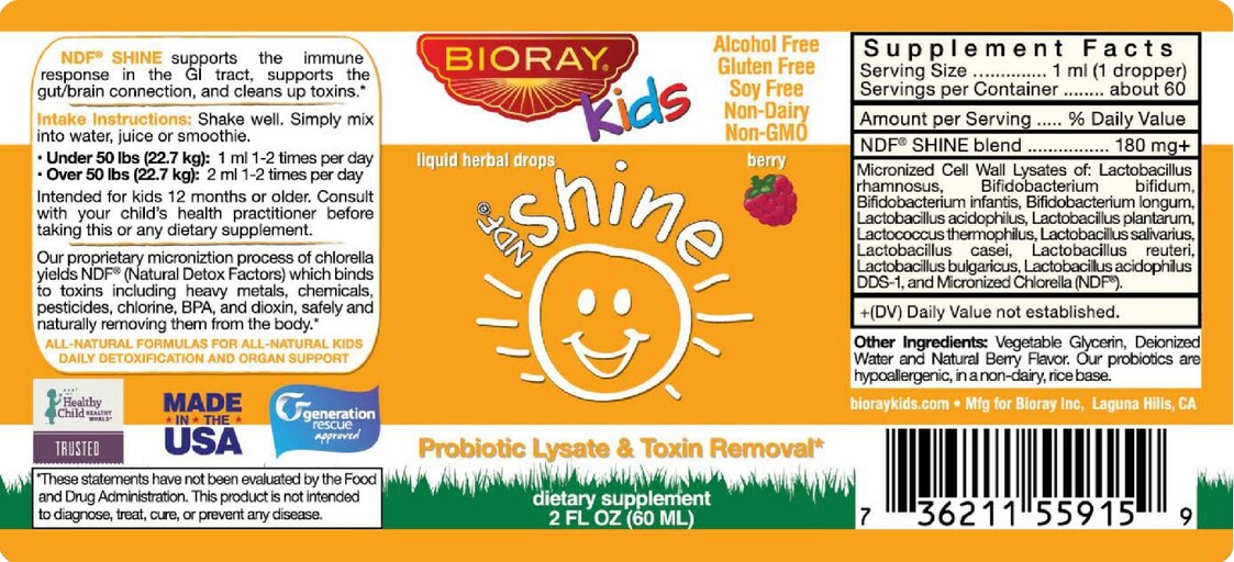 NDF Shine Berry