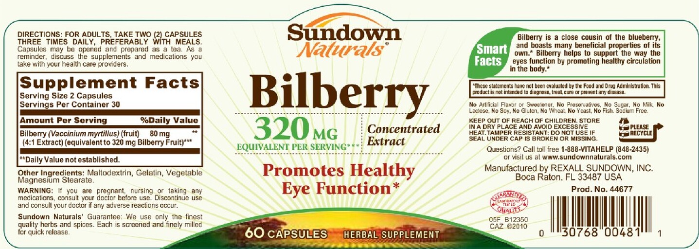 Bilberry