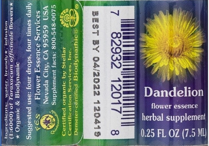 Dandelion Flower Essence