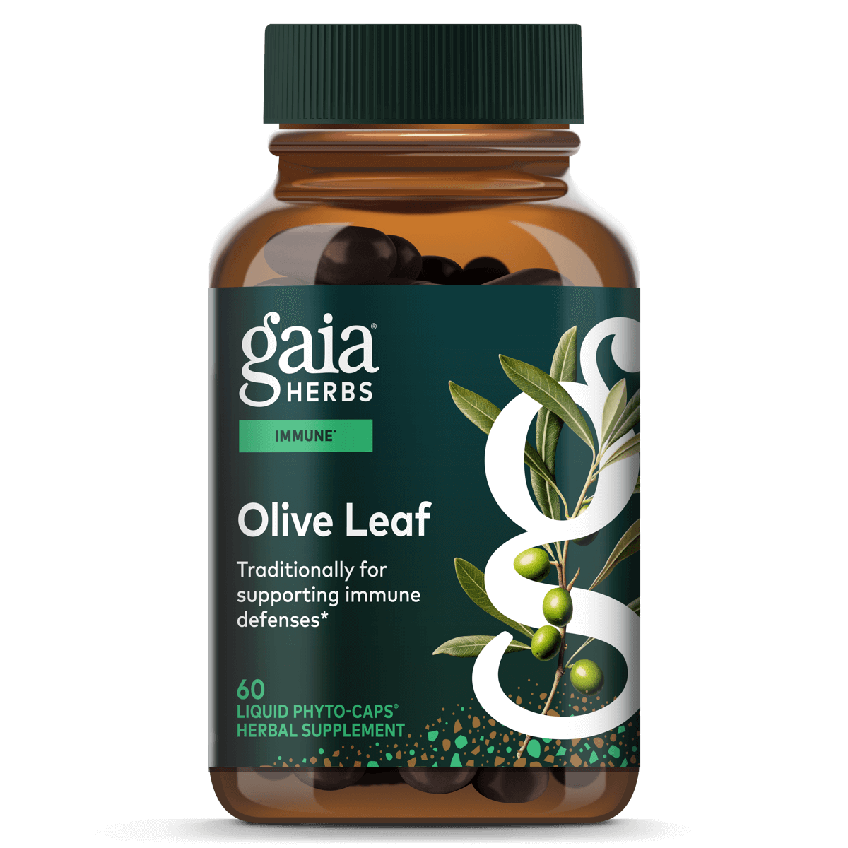 Olive Leaf