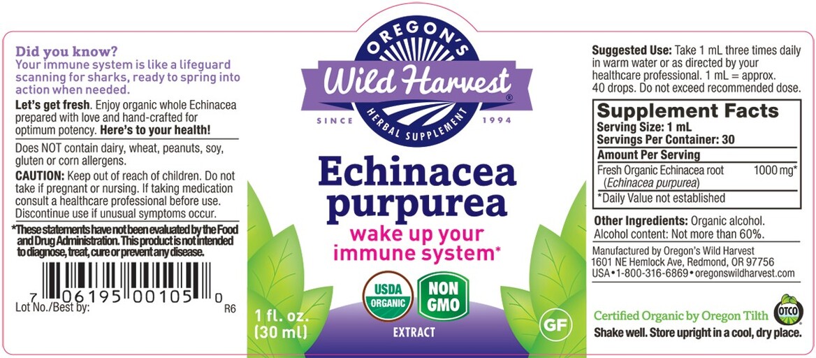 Organic Echinacea Purpurea Extract
