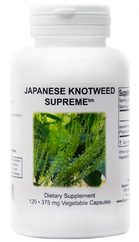 Japanese Knotweed Supreme 750 mg