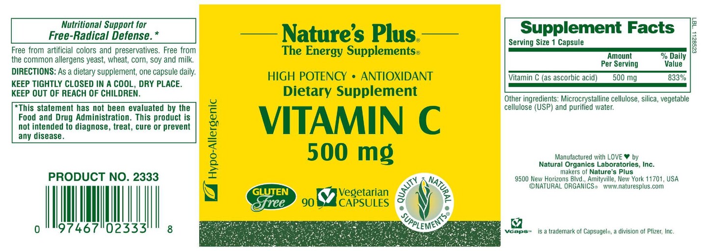 High Potency Antioxidant Vitamin C 500 mg