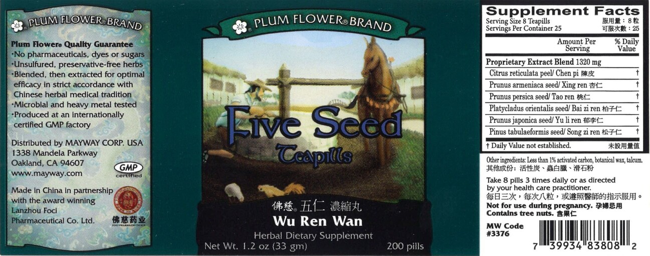 Five Seed Teapills Wu Ren Wan