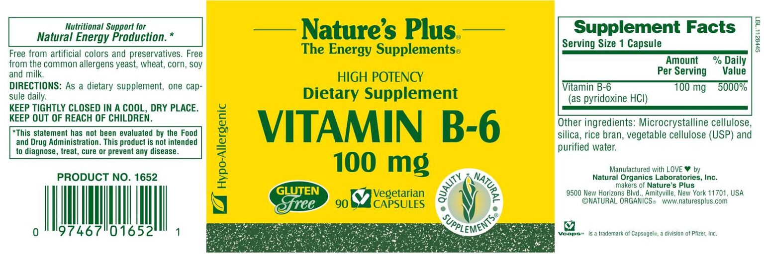Vitamin B-6 100 mg