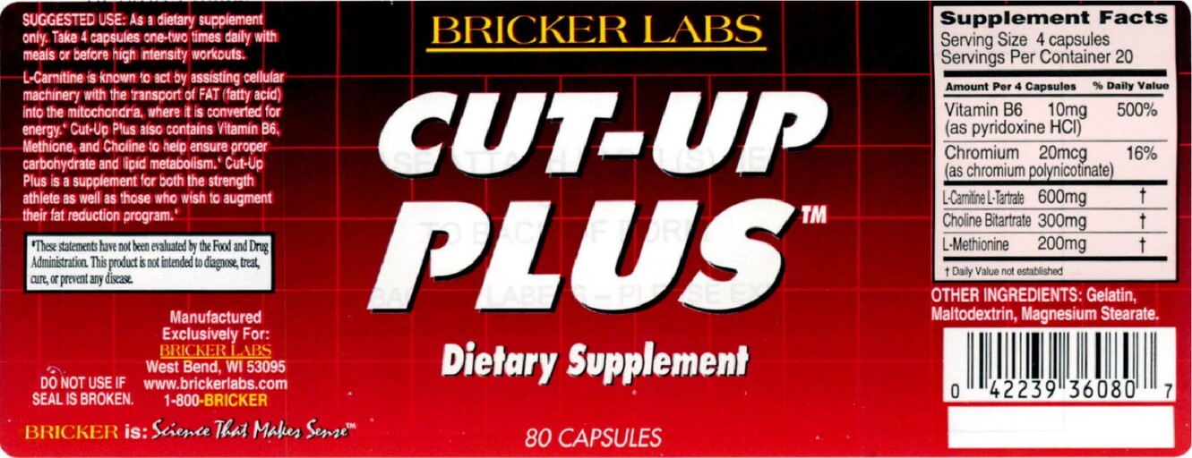Cut-Up Plus