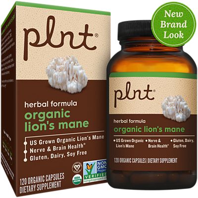 Organic Lion's Mane