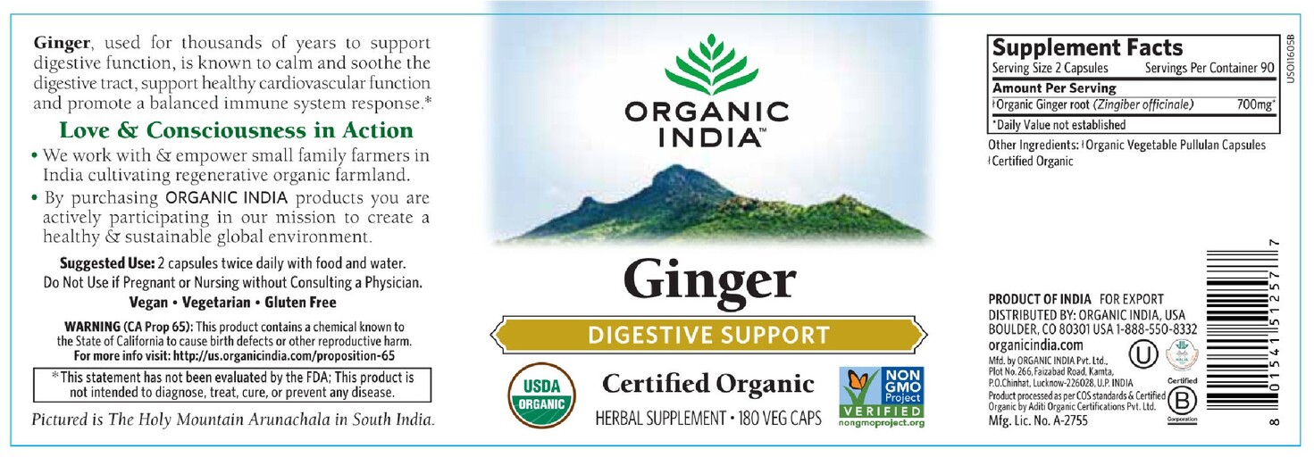 Ginger