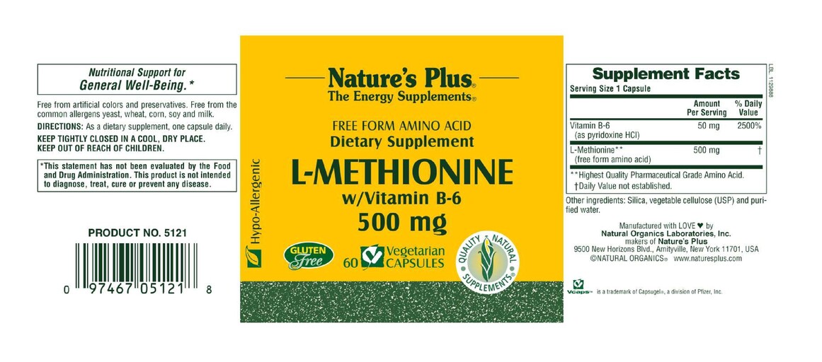Free Form Amino Acid L-Methionine W/Vitamin B-6 500 mg