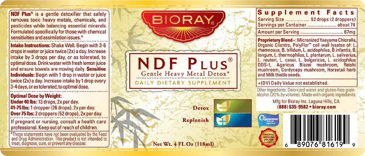 NDF Plus