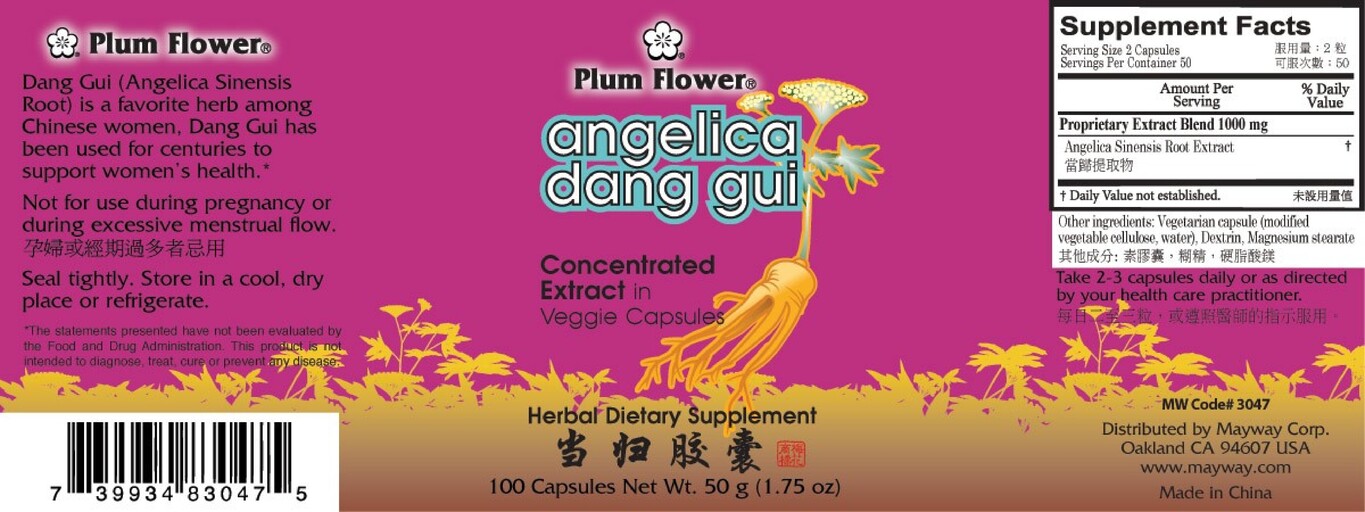Angelica Dang Gui