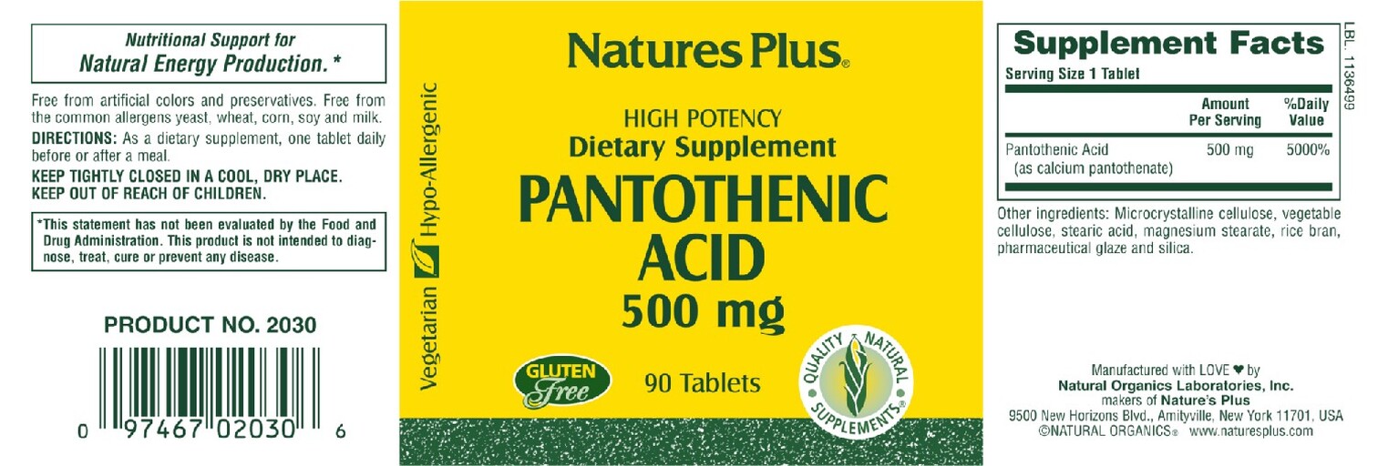 High Potency Pantothenic Acid 500 mg