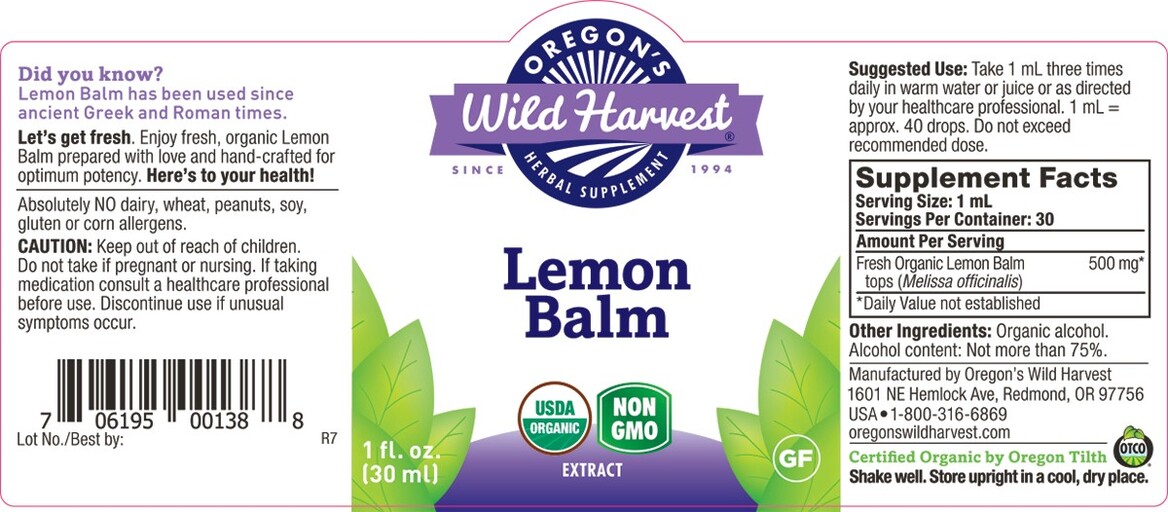 Lemon Balm