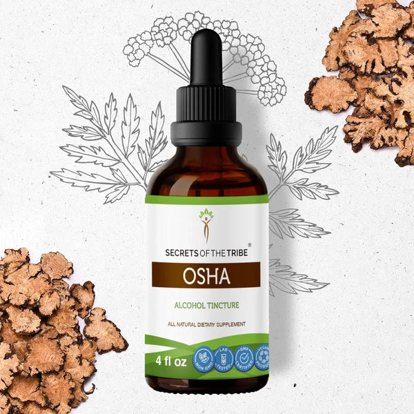 Osha Alcohol Tincture