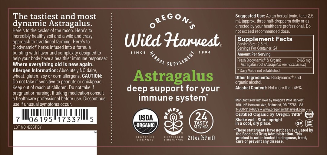 Astragalus