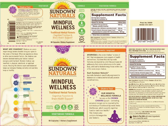 Mindful Wellness