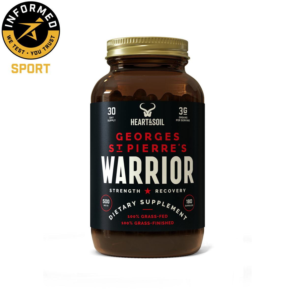 Georges St Pierre's Warrior