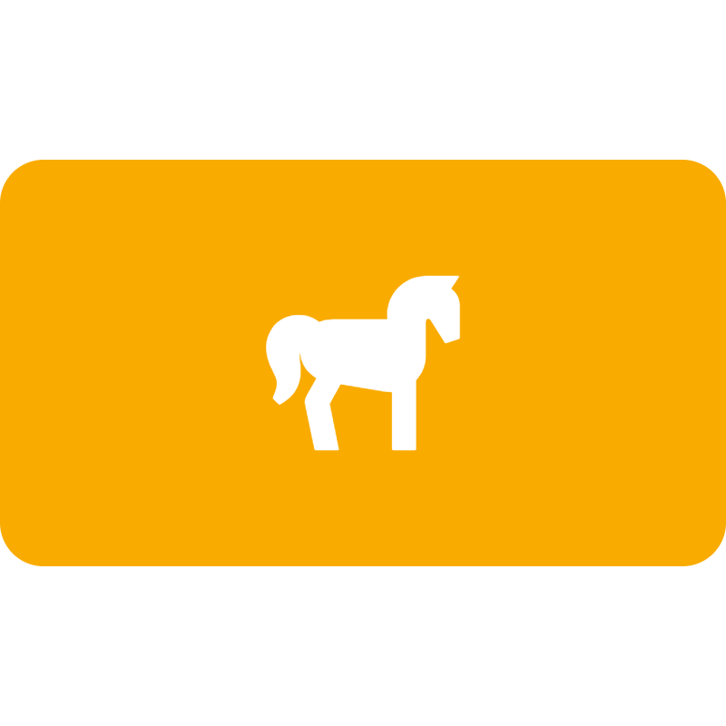 Pommel horse