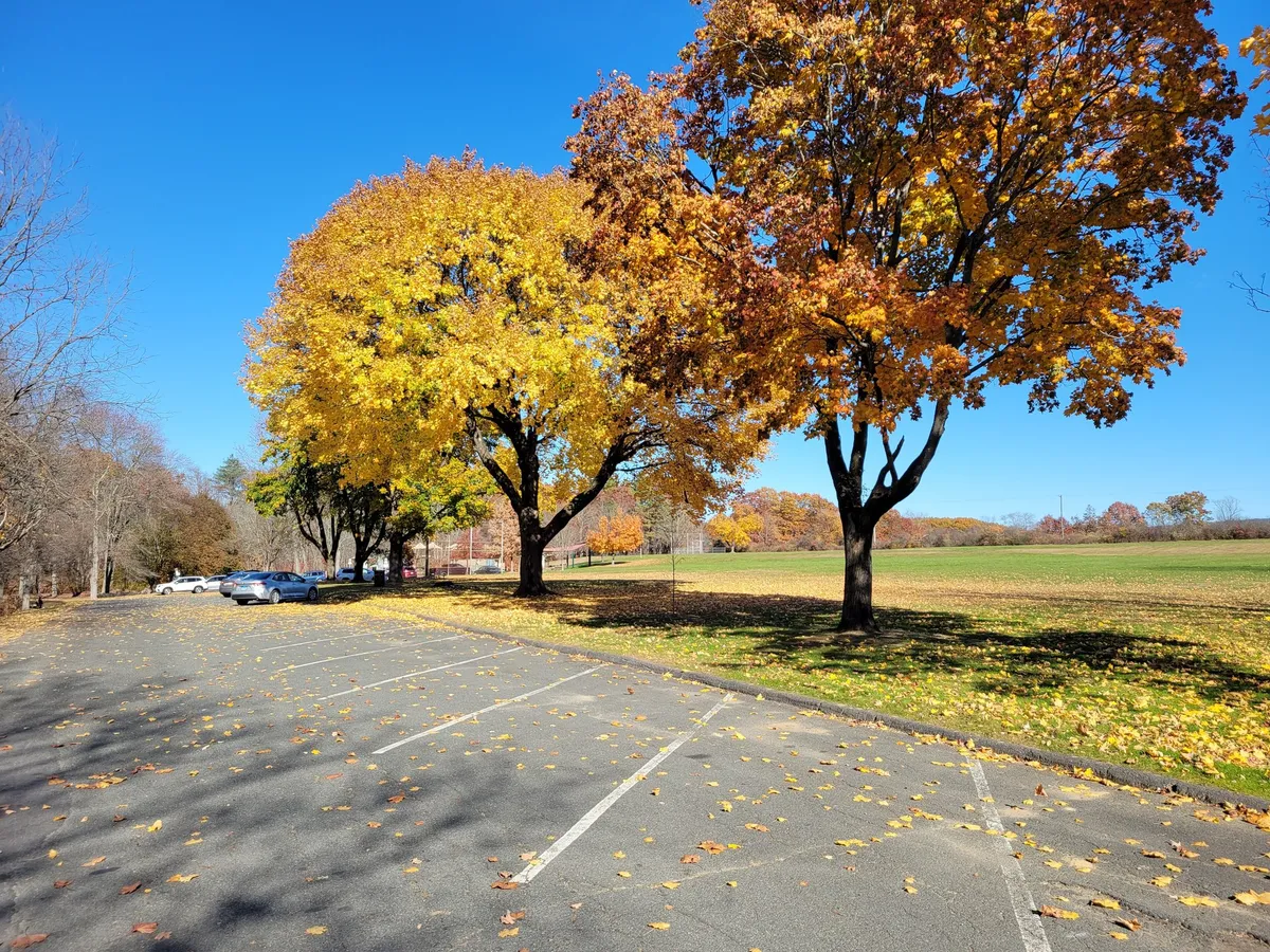 Groff Park, Amherst