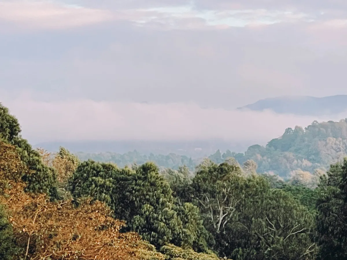Arusha - one of the places your quest passes through