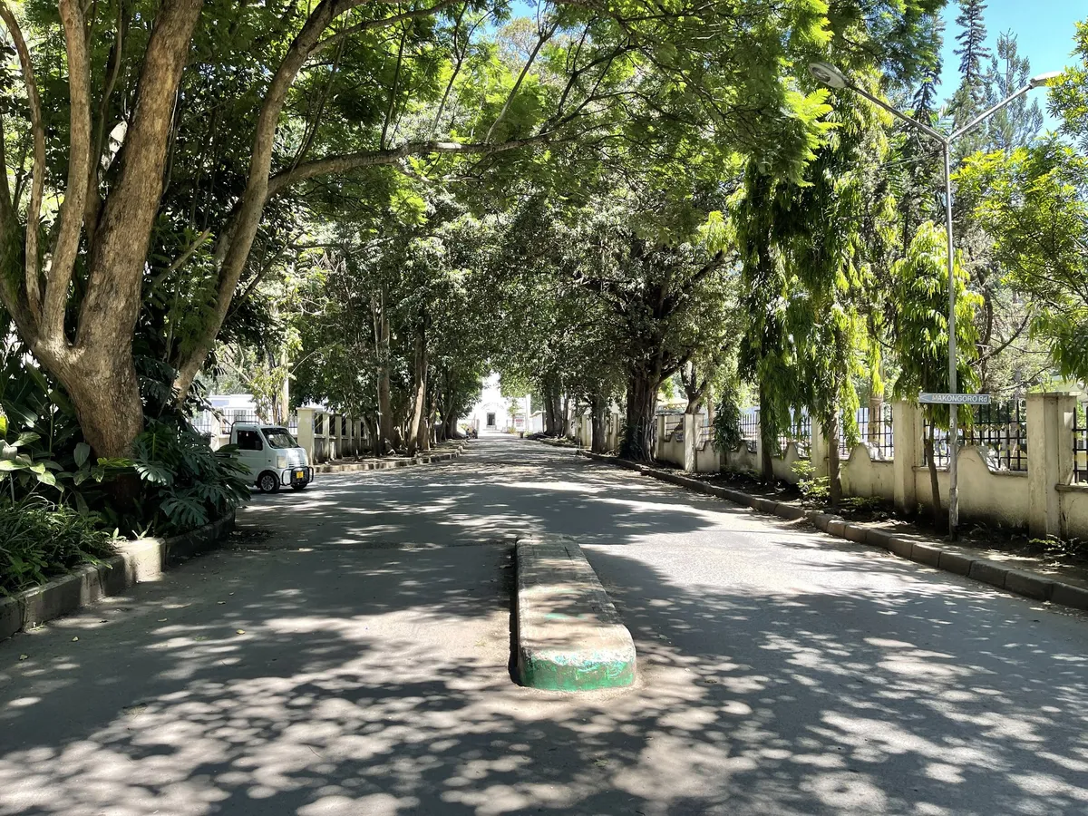 Arusha International Conference Centre Roundabout, Arusha