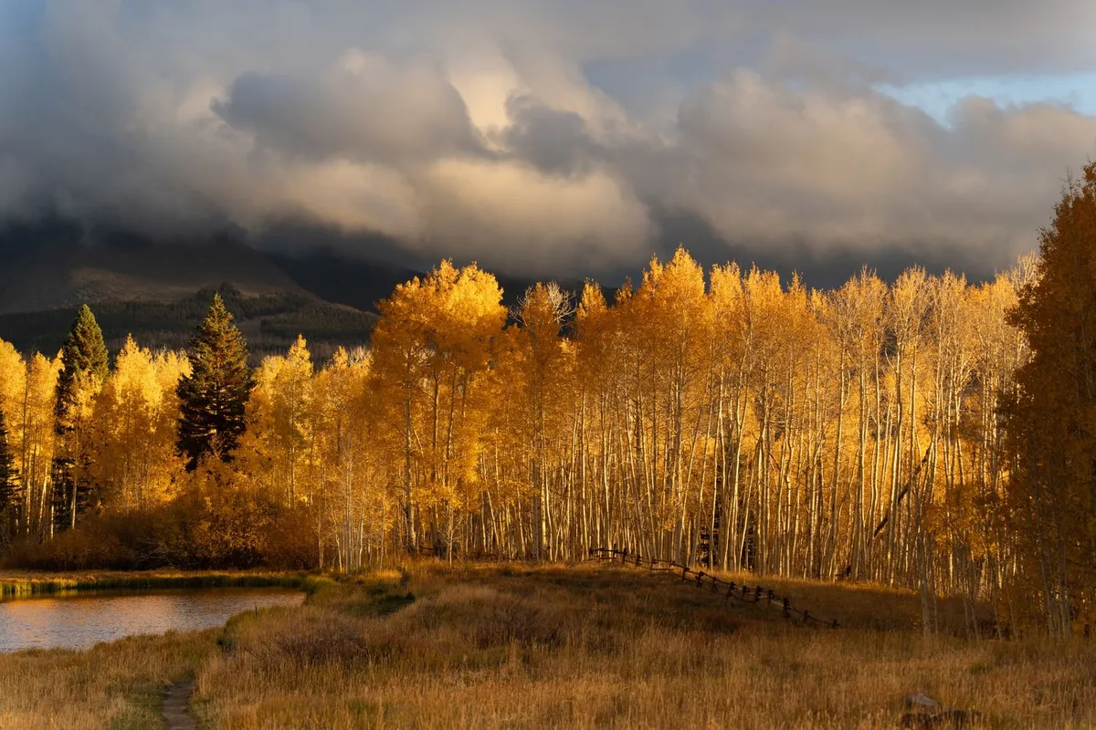 Aspen - where your quest unfolds