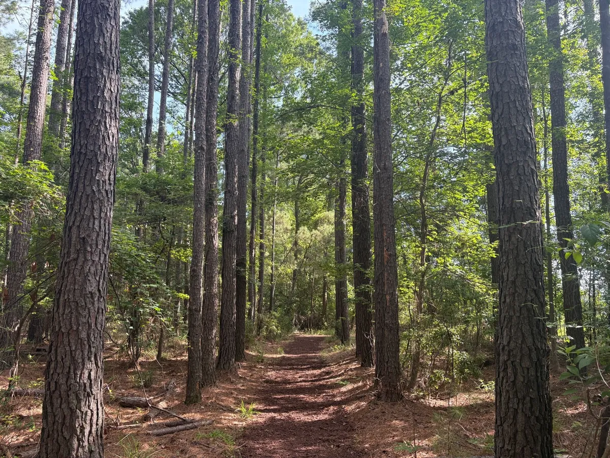 Bluffton - where your quest unfolds