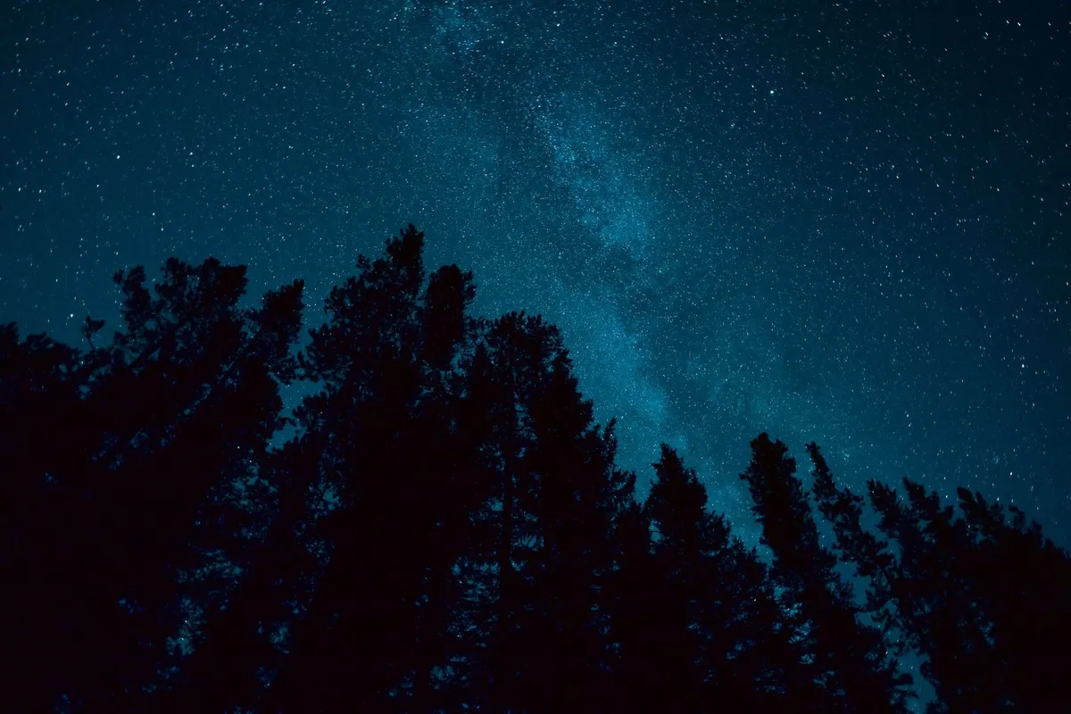 Bozeman - where your quest unfolds