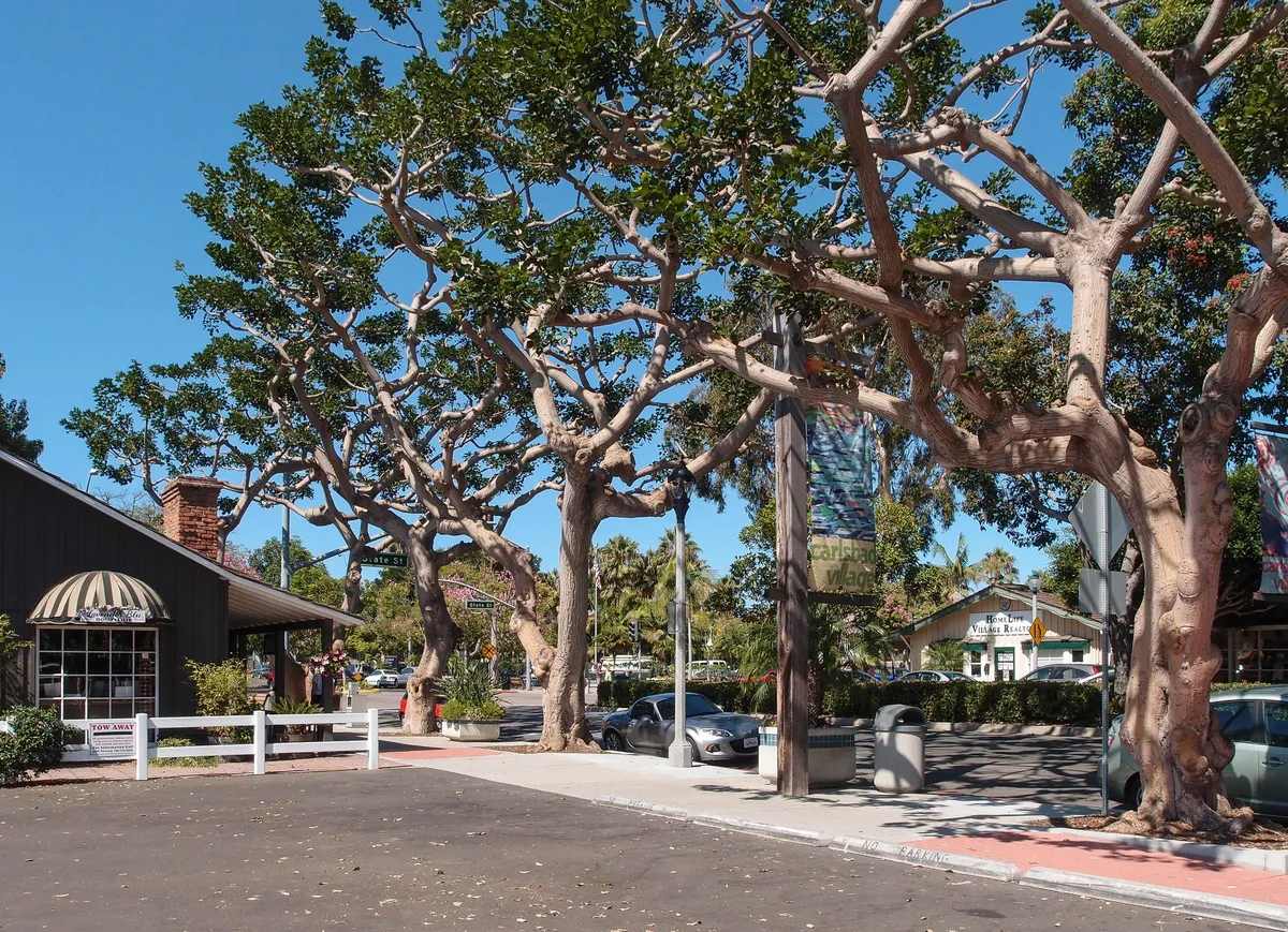 File:Carlsbad Cityscape Trees 2013.jpg