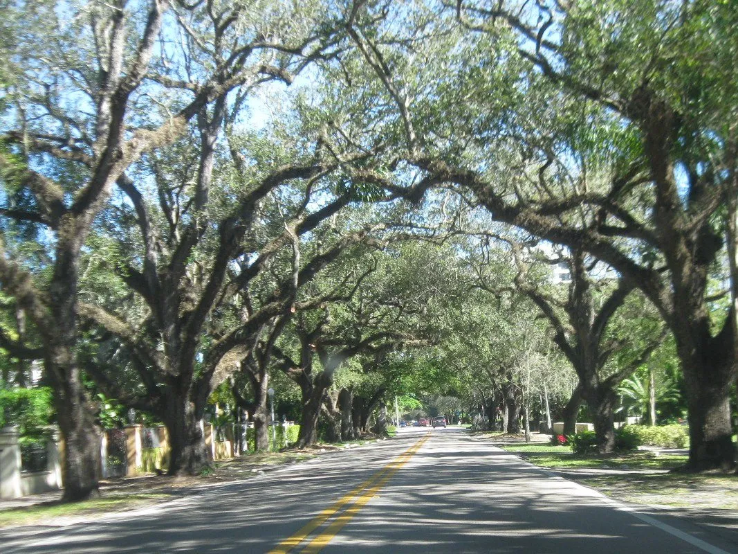 Coral Gables - one of the places your quest passes through