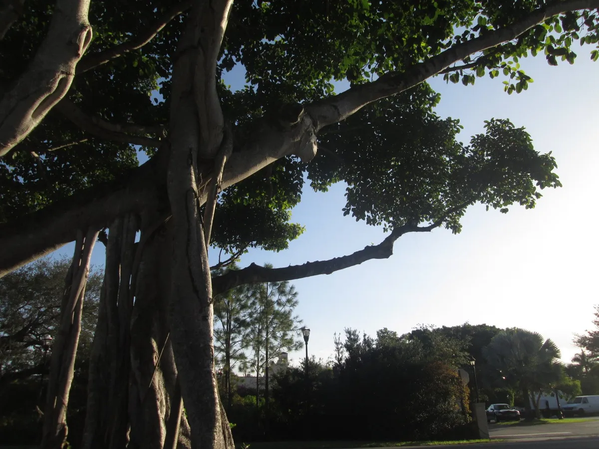 Coral Gables - one of the places your quest passes through