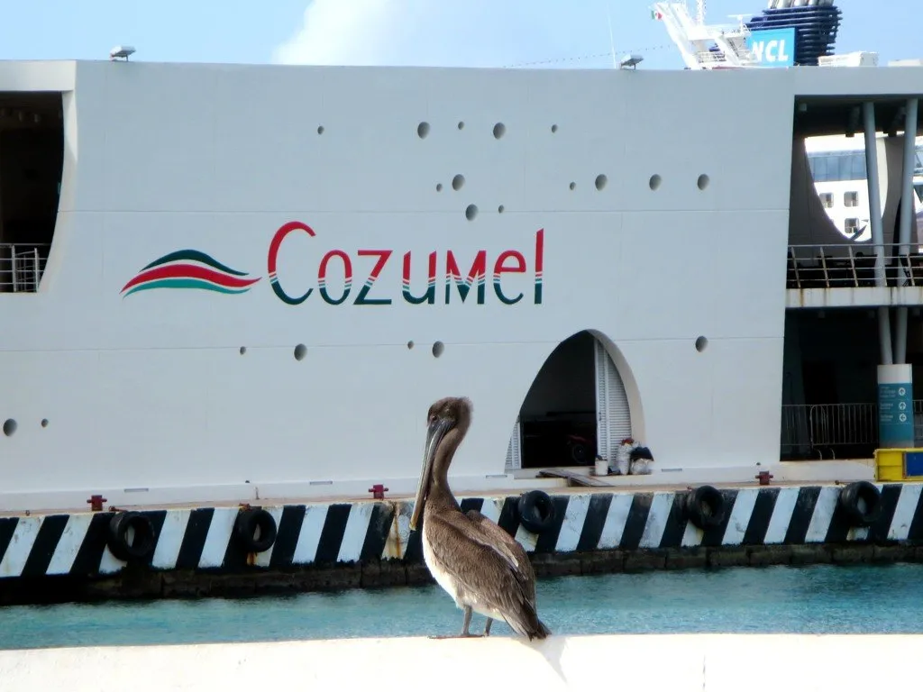 Cozumel - one of the places your quest passes through
