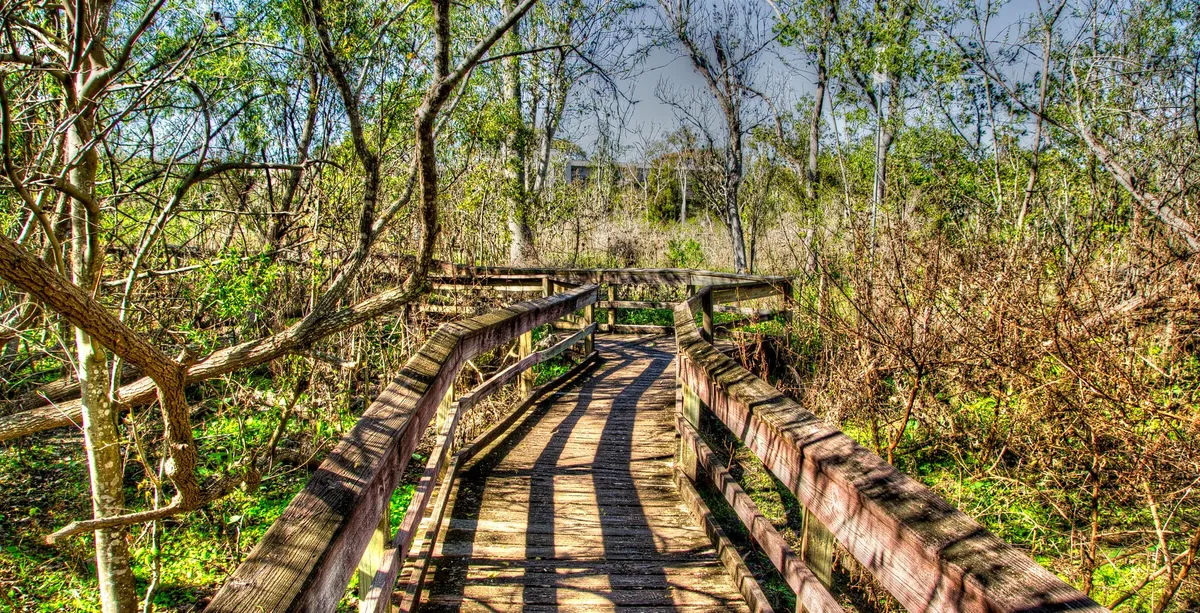 Mead Botanical Garden in Winter Park