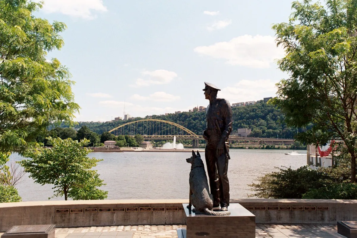 File:Watching Over You (51335080298).jpg