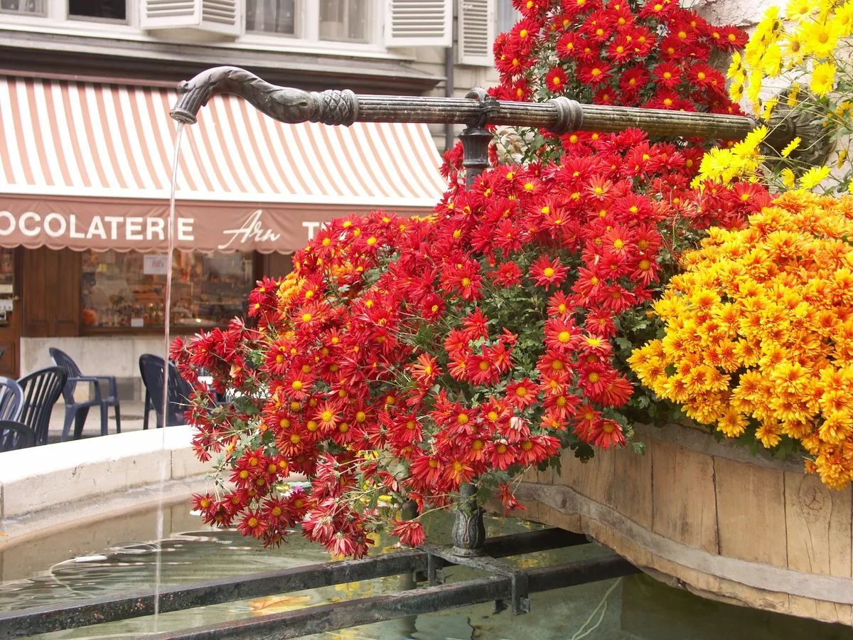 Bourg-de-Four, Geneva