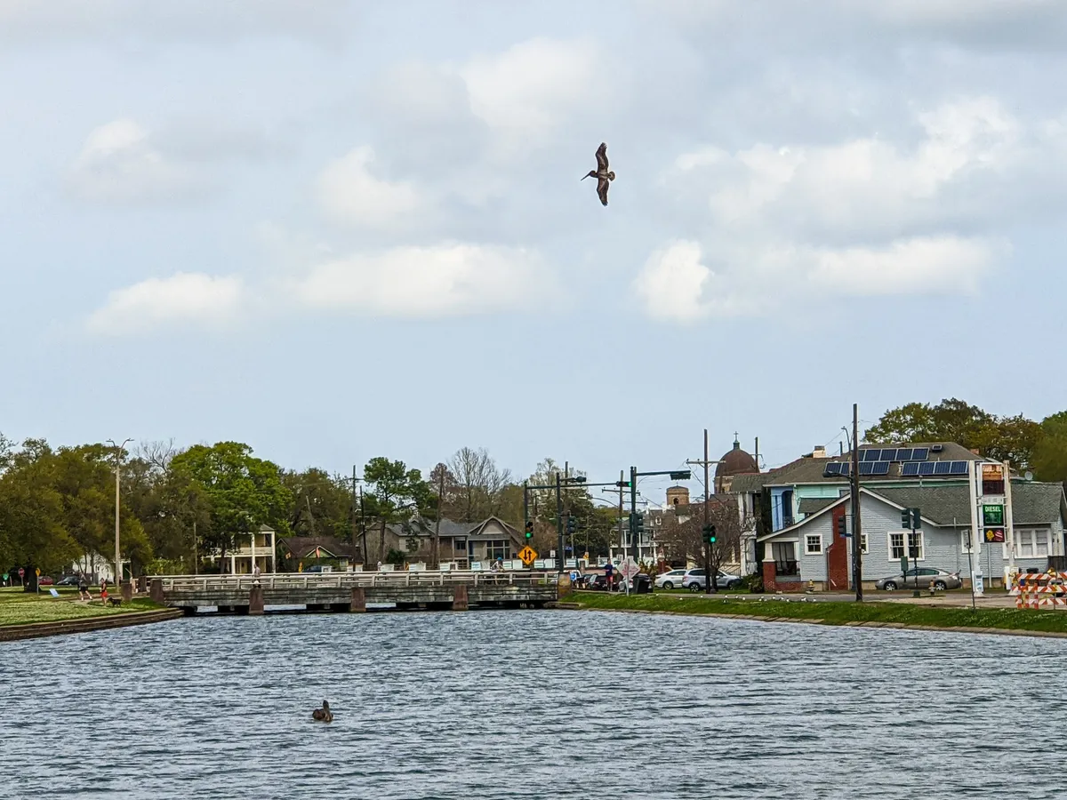 File:Wheeling In - flying over Bayou St John, New Orleans.jp
