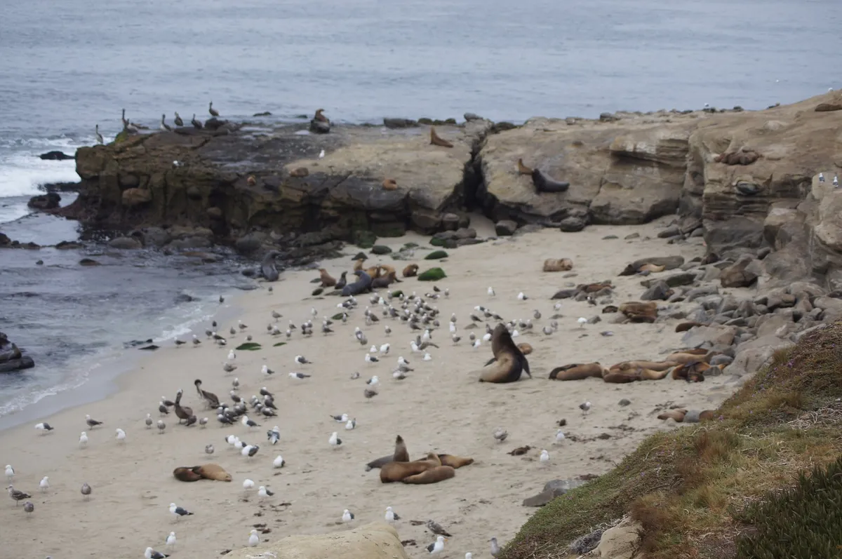 La Jolla - one of the places your quest passes through