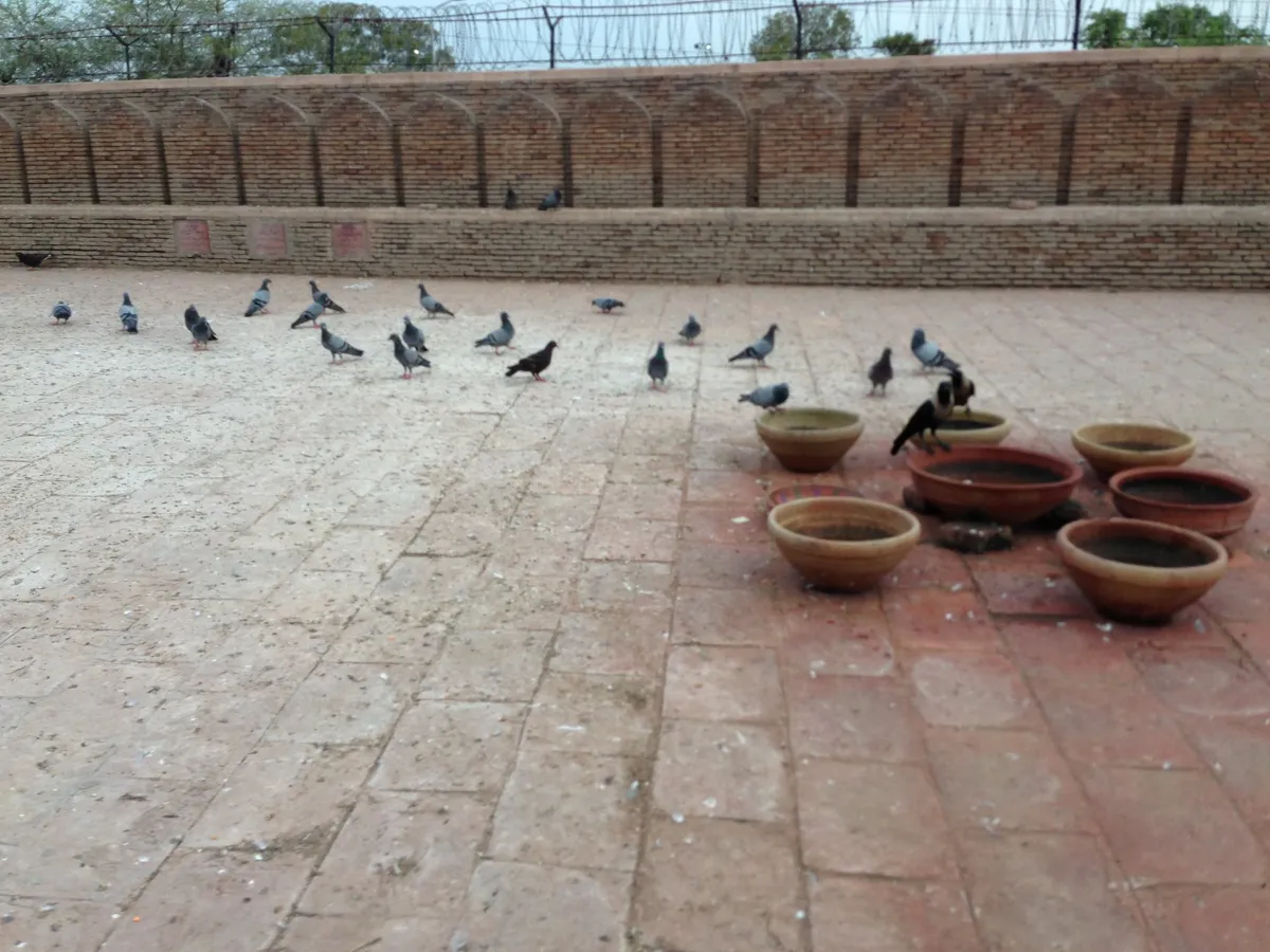 Multan - one of the places your quest passes through